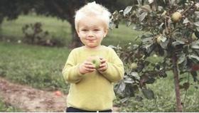 A child tastes a freshly picked apple from an apple tree located on his parents' property in Saint-Jean-sur-Richelieu.
